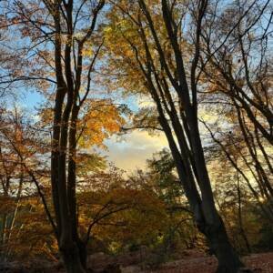 life, reimagined: online mini masterclass