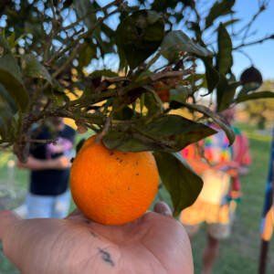 the art of imagination: online taster workshop